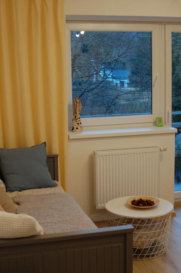 Apartman Masaryk Lipová-lázně Dış mekan fotoğraf